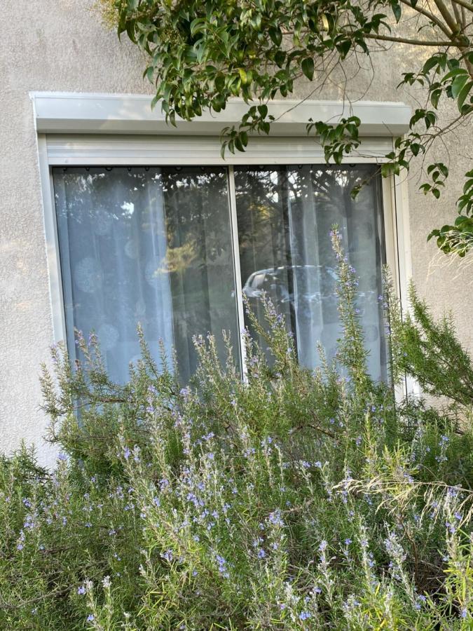 Mas Des Tournevents Bed & Breakfast Lézignan-Corbières Dış mekan fotoğraf