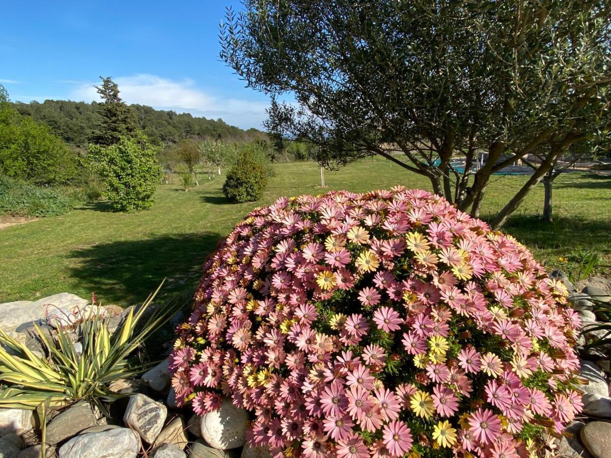 Mas Des Tournevents Bed & Breakfast Lézignan-Corbières Dış mekan fotoğraf