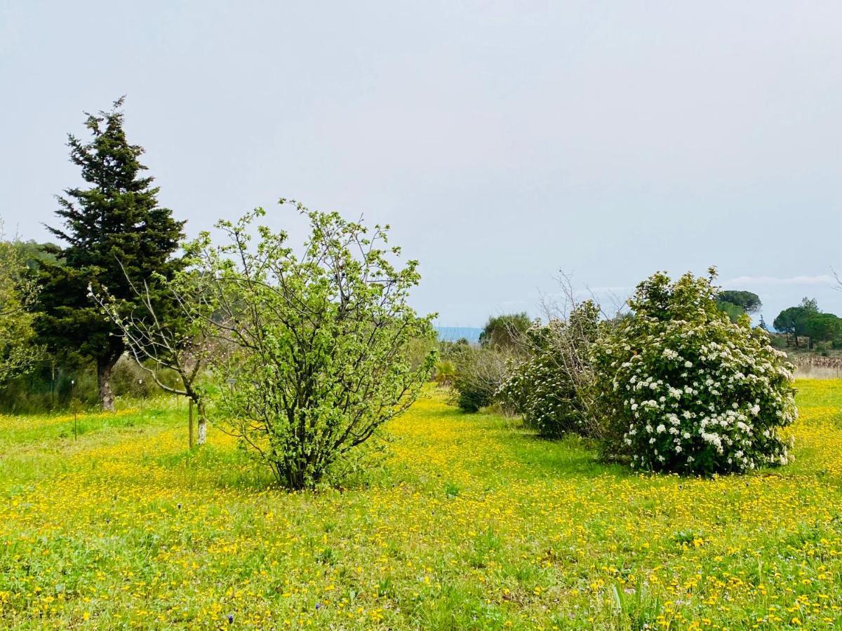 Mas Des Tournevents Bed & Breakfast Lézignan-Corbières Dış mekan fotoğraf